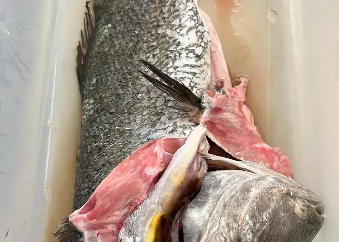 Hotel Alba Chiara Finale Ligure